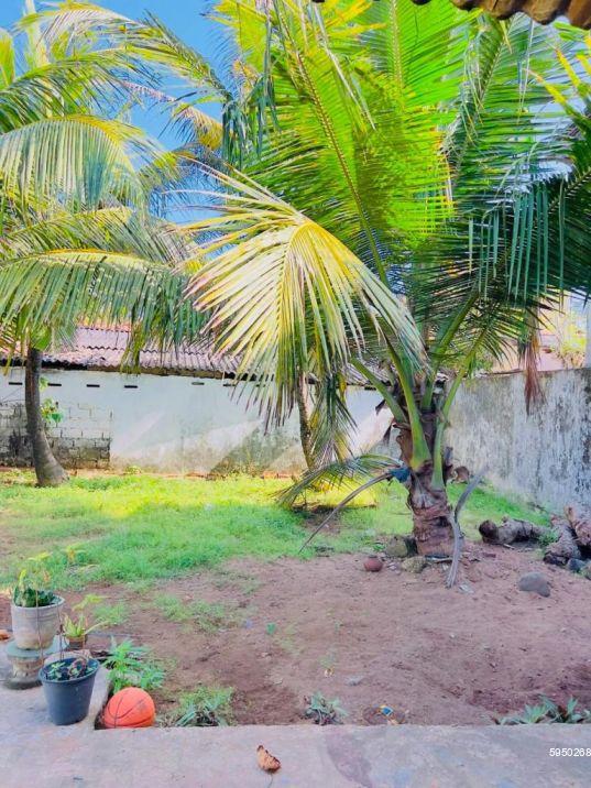 Exterior - House for rent in Moratuwa