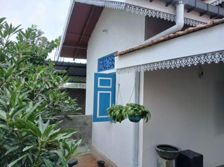 Exterior - (KH956) Modern Single Storey House for Sale in Katuwapitiya