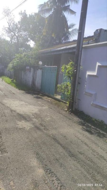 Exterior - (NH599) 11.3 Perch Land with House for Sale in Kohuwala