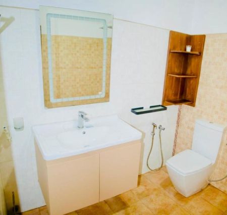 Bathroom - (HH284) Luxury Furnished Three storey house for sale in Kadawatha