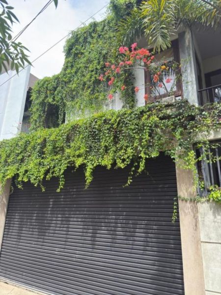 Exterior - 20 Perches Furnished House for Rent - HL55071