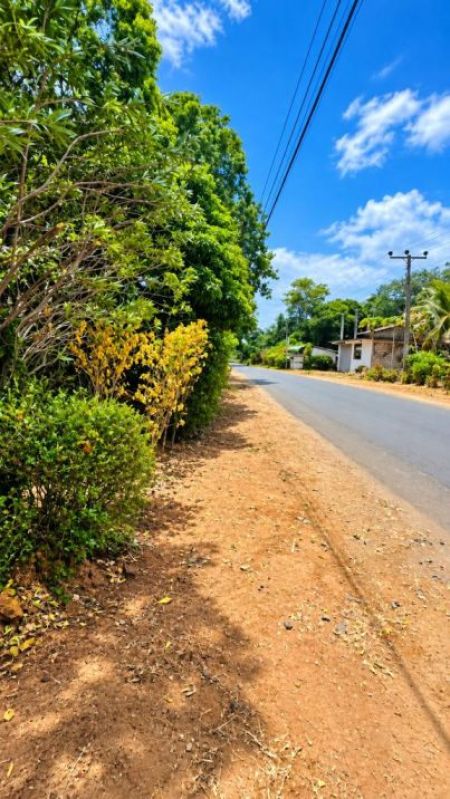 Exterior - House for Sale in Medirigiriya (SSPH-446)