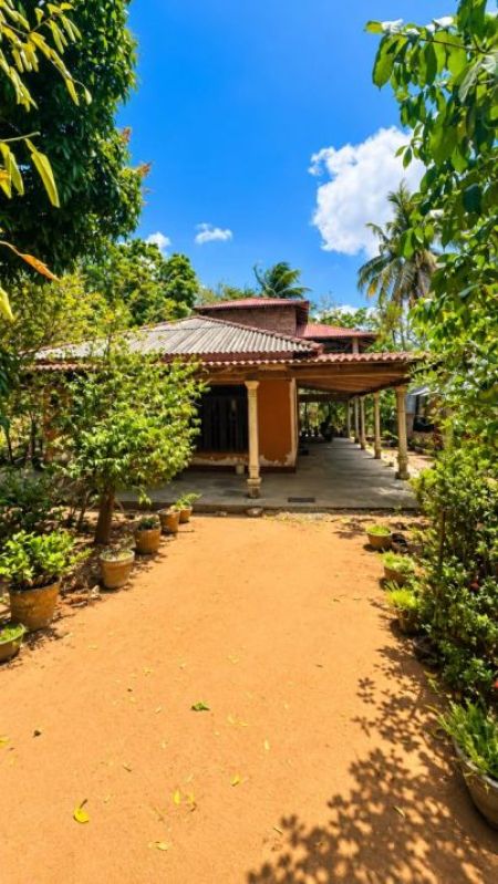 Exterior - House for Sale in Medirigiriya (SSPH-446)