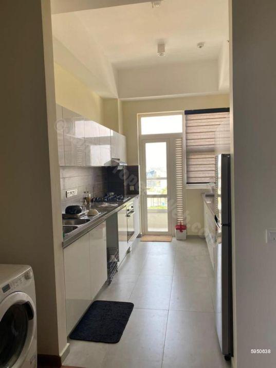 Apartment for rent in Colombo 8