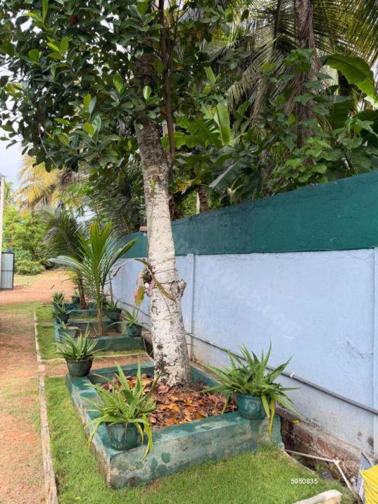 Villa for sale in Ambalangoda