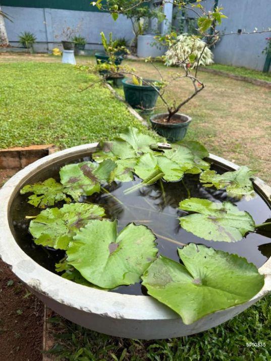 Villa for sale in Ambalangoda
