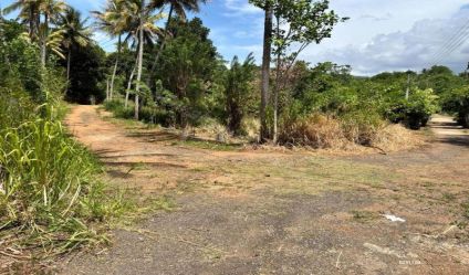 Bare Land