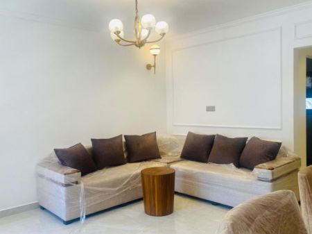 Living Room - (NAR873) Newly Renovated Luxury Apartment for Rent in Colombo 5