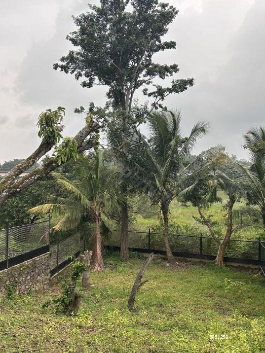 Bare Land for sale in Malabe