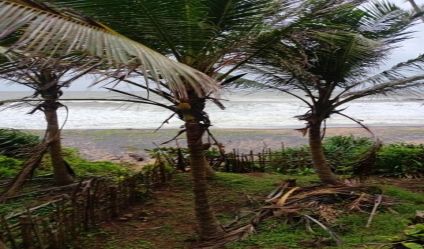 Beachfront land