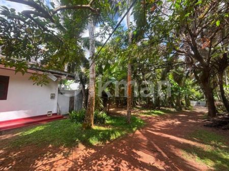 Exterior - House For Rent In Kotte ( File No 5626b) 