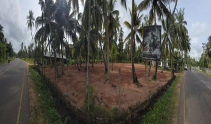 Bare Land