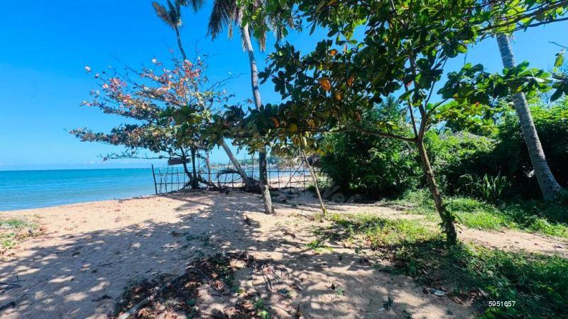 Bare Land for sale in Tangalle