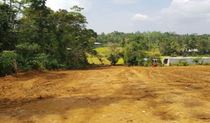 Bare Land