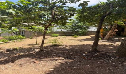 Bare Land