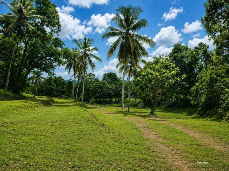 Bare Land for sale in Kottawa