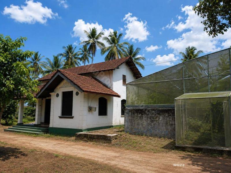 Bare Land for sale in Kottawa