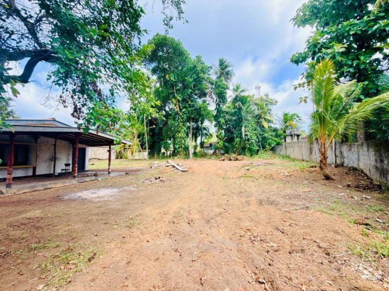 Maharagama Bare Land for sale/rent