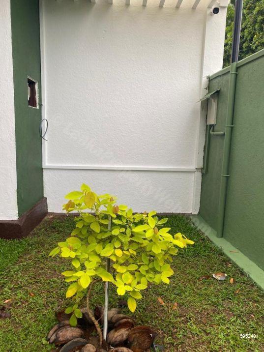 House for rent in Battaramulla