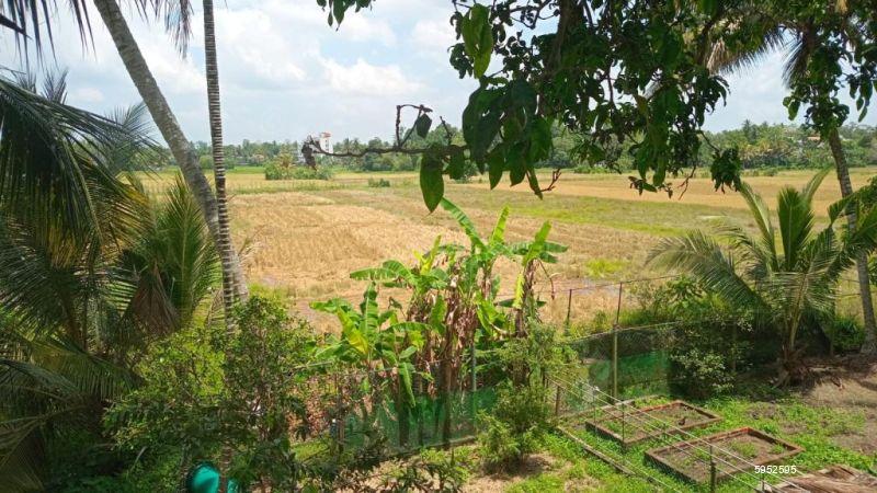 Exterior - House for rent in Battaramulla