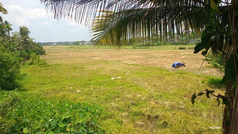 Exterior - House for rent in Battaramulla