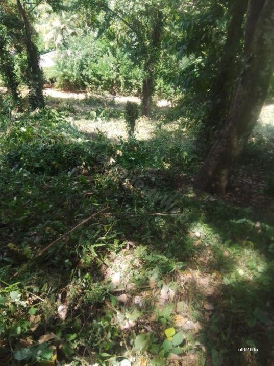 Bare Land for sale in Matale