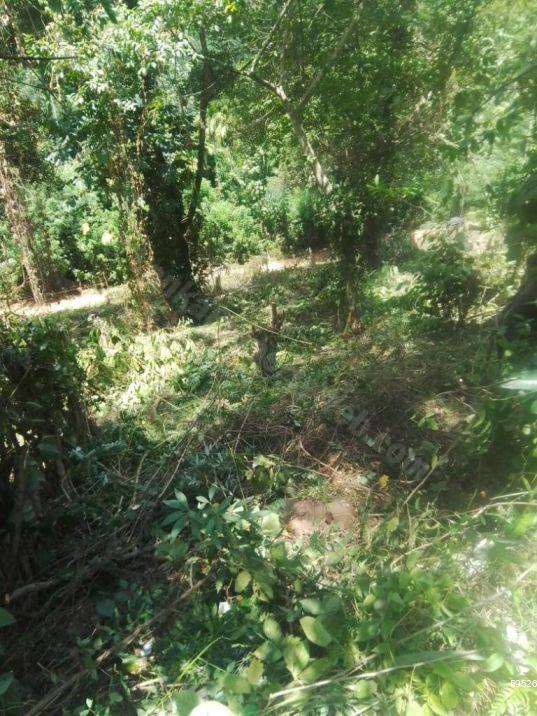 Bare Land for sale in Matale