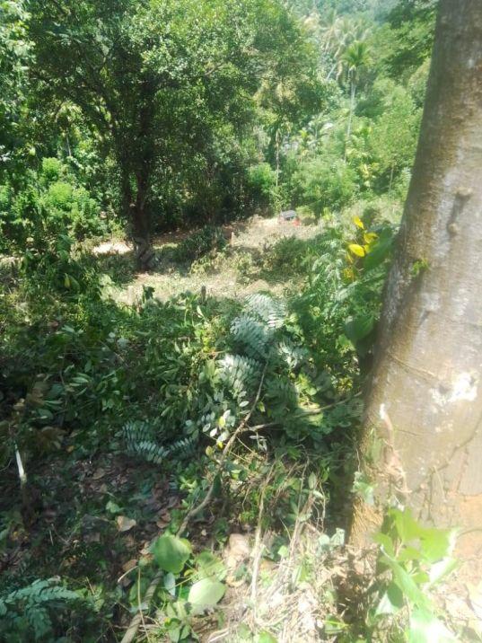 Bare Land for sale in Matale