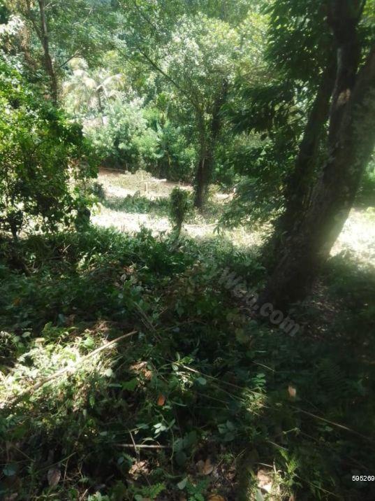 Bare Land for sale in Matale