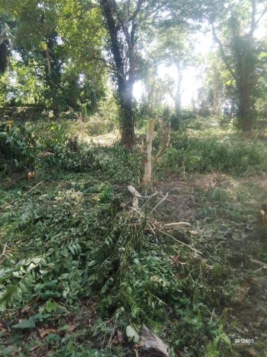Bare Land for sale in Matale