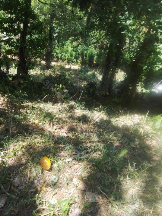 Bare Land for sale in Matale