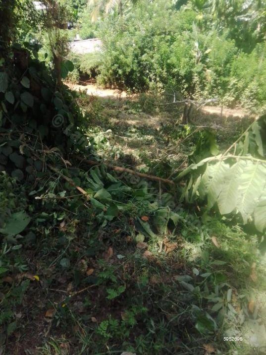 Bare Land for sale in Matale