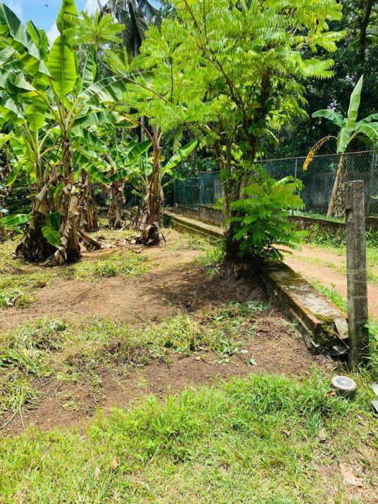 Bare Land for sale in Kadawatha