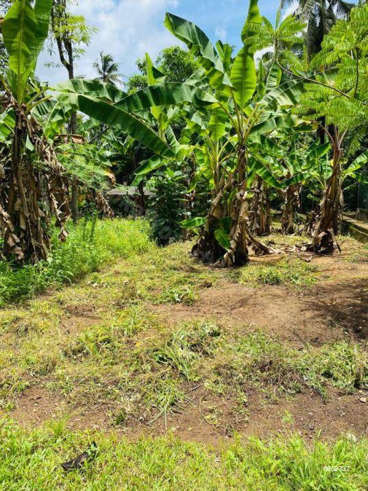 Bare Land for sale in Kadawatha