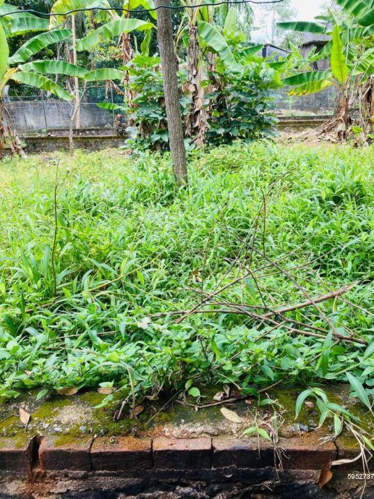Bare Land for sale in Kadawatha