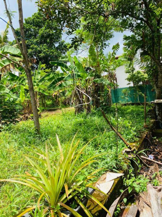 Bare Land for sale in Kadawatha