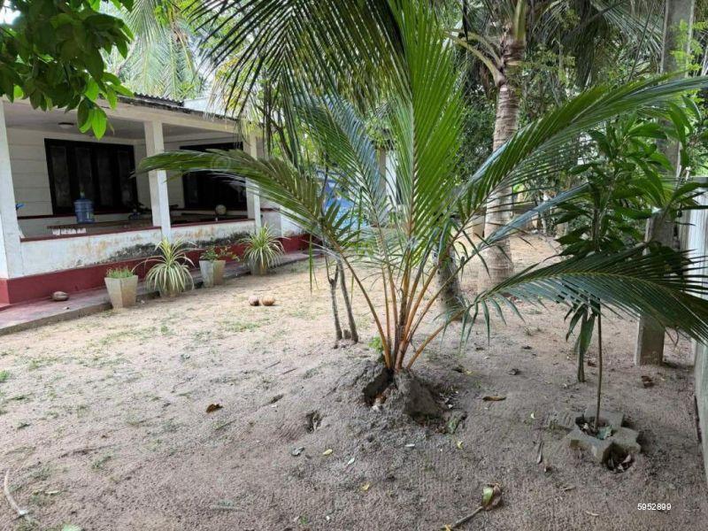 Land with house for sale in Tangalle