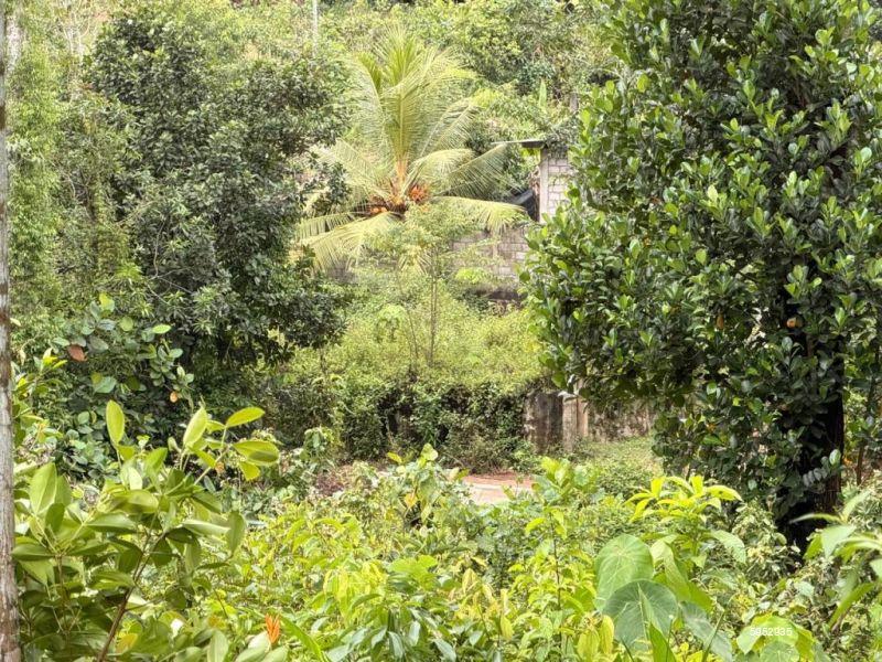 Bare Land for sale in Dodangoda