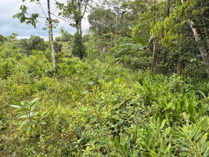 Bare Land for sale in Dodangoda