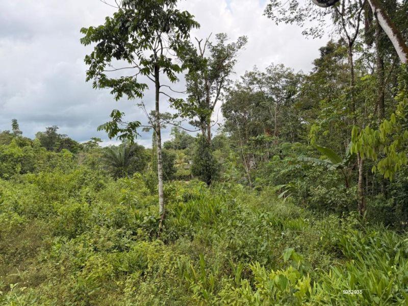 Bare Land for sale in Dodangoda
