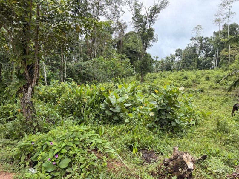 Bare Land for sale in Dodangoda