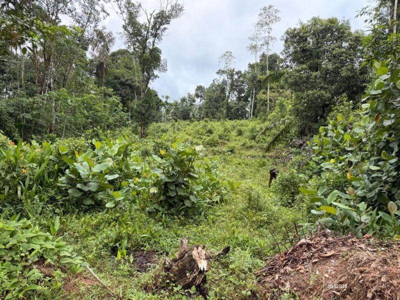 Bare Land for sale in Dodangoda