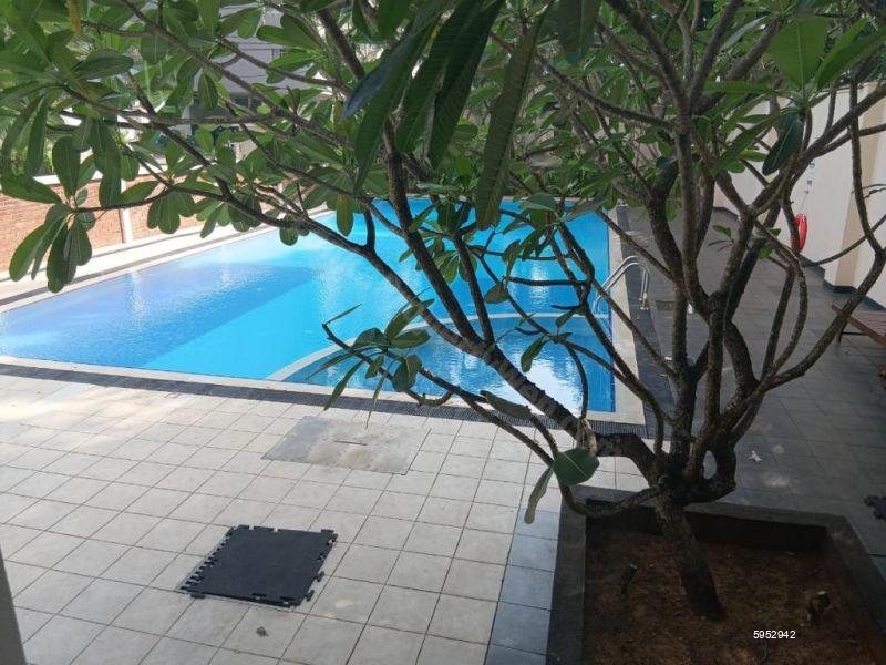 Apartment for rent in Colombo 6