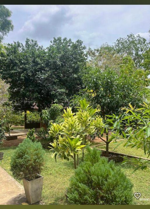 Commercial for sale in Anuradhapura