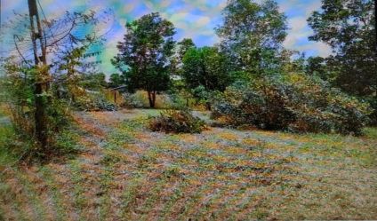 Bare Land