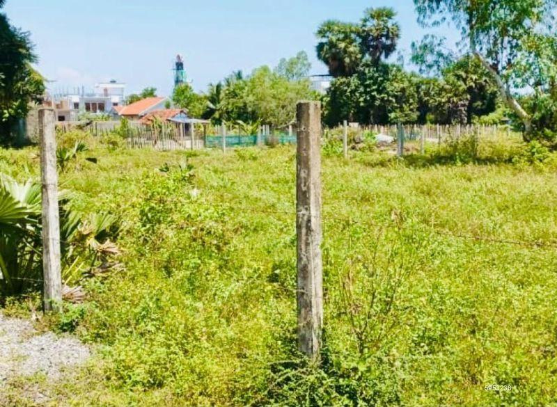 Bare Land for sale in Colombo 10