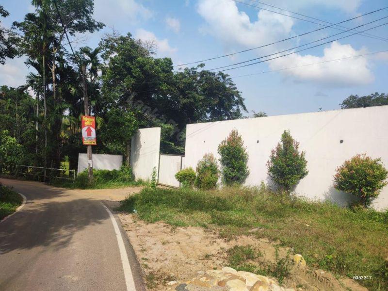 Commercial for sale in Horana