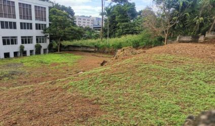 Bare Land