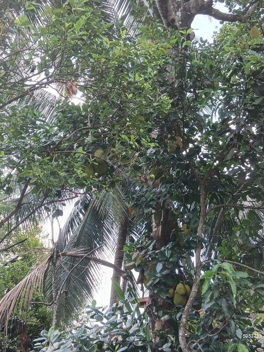 House for sale in Homagama