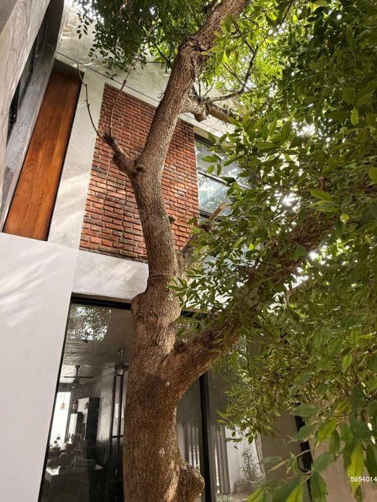 Exterior - House for sale in Maharagama
